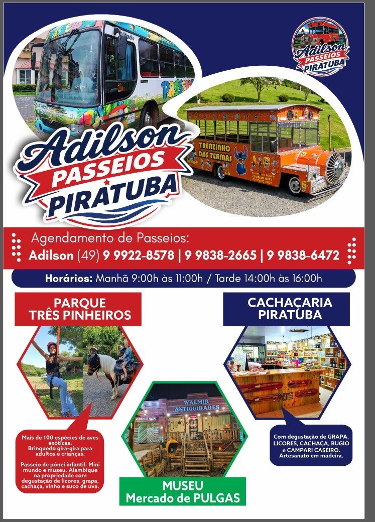 Adilson Passeios